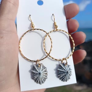 May include: Gold-tone hoop earrings with a textured design. Each earring features a small, gray and white seashell charm. The earrings are displayed on a white card against a backdrop of blue sky and ocean.