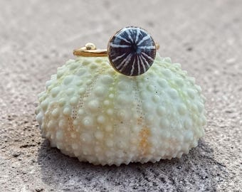 Opihi 'awa Shell Adjustable Ring: Gold plated Stainless steel, never fade, Hawaiian Jewelry,