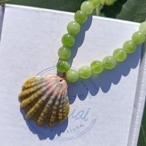 May include: A necklace featuring a strand of light green, round beads. A seashell pendant with yellow, pink, and white hues hangs from the necklace. The necklace rests on a white surface with text that reads "Hawaii with Aloha."