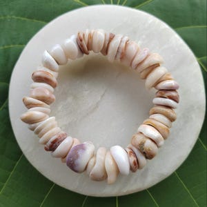 May include: A bracelet made of polished, irregularly shaped seashells in shades of white, tan, and brown. The bracelet is circular and rests on a white, round surface, with a green leaf in the background. The shells are strung together.