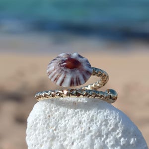 Opihi awa Shell Ring: Gold plated Stainless steel, Size 6, Hawaiian Jewelry, Ocean lover gift, unique gift, handmade gift
