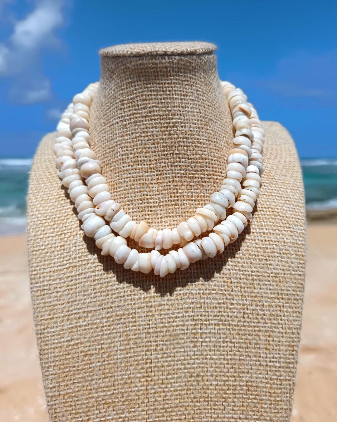 Unique Shell Lei Unisex 25