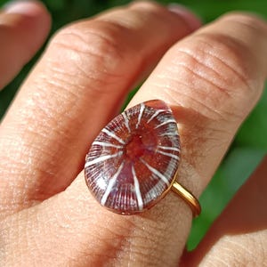 May include: A ring featuring a teardrop-shaped stone with a deep reddish-brown hue and distinct white radial lines resembling a fossilized coral pattern. The stone is set in a smooth, polished gold-toned metal band that encircles the finger.