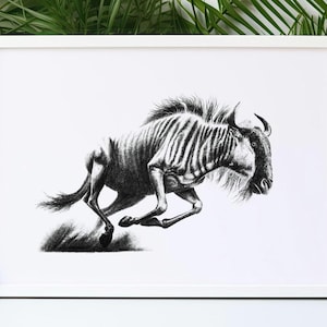 Wildebeest Charcoal Drawing: African Wildlife Fine Art Giclée Print