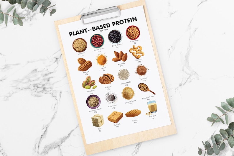 May include: A wooden clipboard displays a chart titled "PLANT-BASED PROTEIN" with illustrations of various plant-based protein sources, including soybeans, beans, nuts, seeds, and soy milk. The chart provides protein content per 100g for each item.
