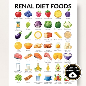 PDF nierdieet, lijst gezond nierdieet, afdrukbare pdf, poster CKD-dieet, beste voedingsmiddelen, helpt je bij het plannen van maaltijden en menu's