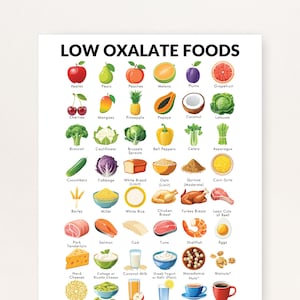 Op de afbeelding: Een witte educatieve poster met de titel LOW OXALATE FOODS, voorzien van een raster met kleurrijke illustraties van diverse groenten, fruit, granen, vlees, vis en zuivelproducten, elk met de naam in zwarte tekst eronder weergegeven.