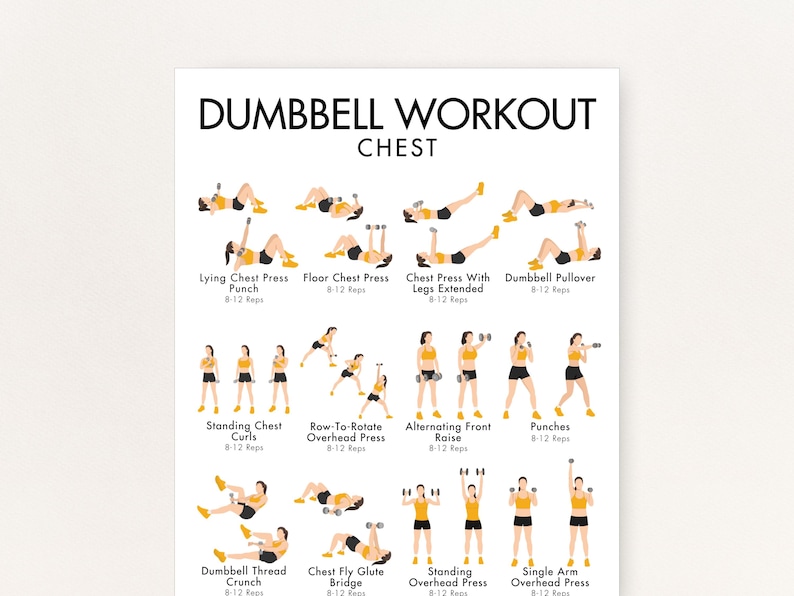 May include: A white poster with the text "DUMBBELL WORKOUT CHEST" at the top. Below are illustrated dumbbell exercises, including Lying Chest Press, Floor Chest Press, and Standing Chest Curls. Each exercise is labeled with the name and rep range.
