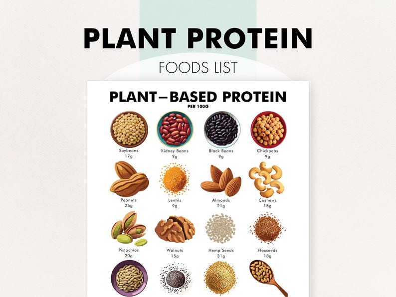 May include: A white poster with the text "PLANT PROTEIN FOODS LIST" at the top. The poster lists plant-based protein sources, including soybeans, kidney beans, black beans, chickpeas, peanuts, lentils, almonds, cashews, pistachios, walnuts, hemp seeds, and flaxseeds.