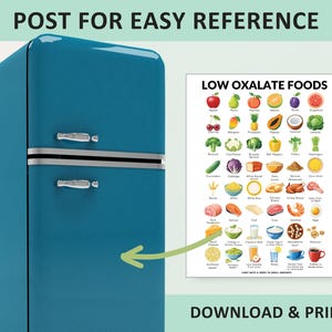 Dieta com baixo teor de oxalato, lista de alimentos com baixo teor de oxalato, PDF imprimível de alimentos com baixo teor de oxalato. imagem 2