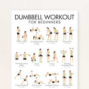 May include: A white poster with the text "DUMBBELL WORKOUT FOR BEGINNERS" and illustrations of various dumbbell exercises. Exercises include goblet squats, bicep curls, and overhead presses. Each exercise is labeled with its name and rep range.