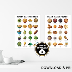 May include: Two colorful posters titled "Plant-Based Protein" with illustrations of various plant-based foods, including grains, fruits, and nuts. Each food item is labeled with its protein content. A digital download icon is in the center.