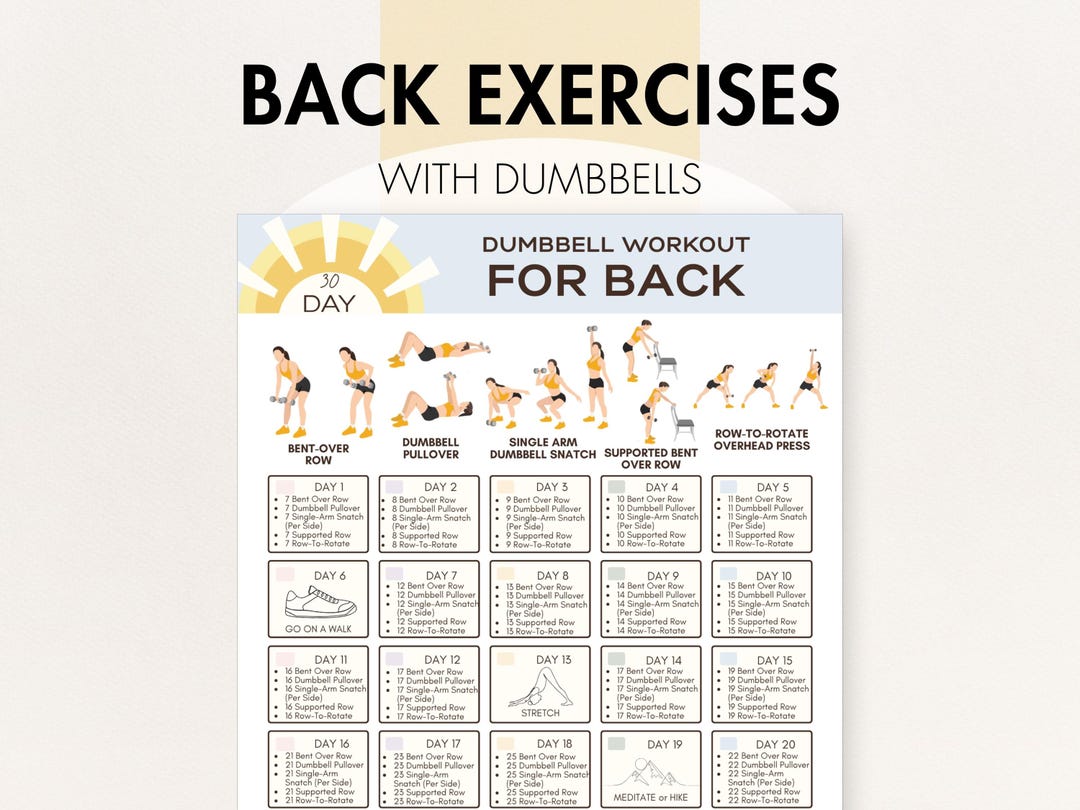 Dumbbell Back Exercises, Back Workout Program - No Bench, Free Weights ...