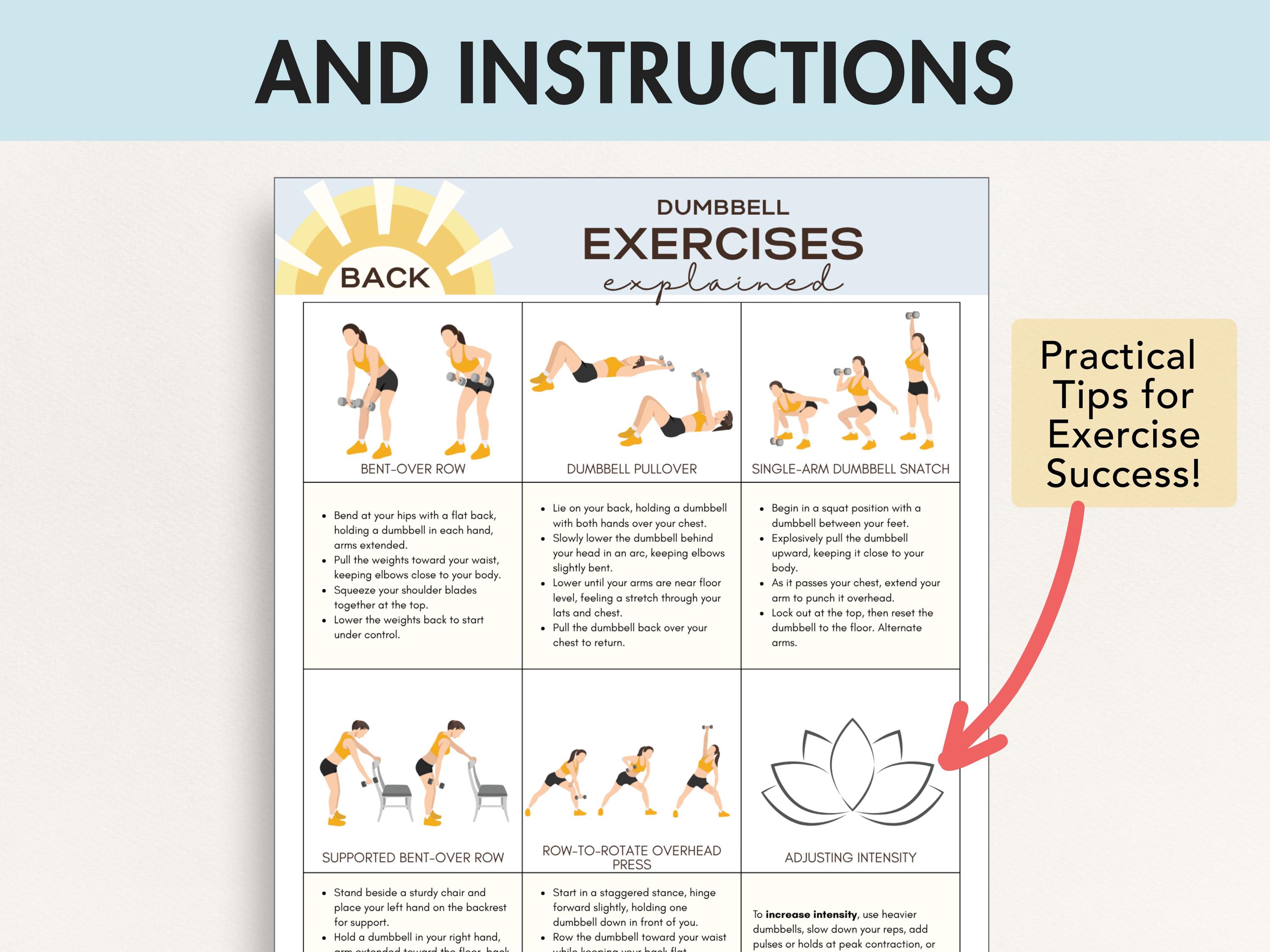 Torso Exercise .pdf Dumbbell Exercises Upper Body, PDF, Bundle With Instructions, Five ...