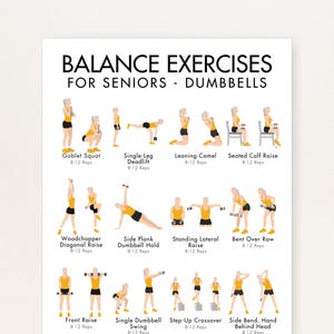 May include: A white poster featuring the text "BALANCE EXERCISES FOR SENIORS - DUMBBELLS" and diagrams of dumbbell exercises. Exercises include Goblet Squat, Single-Leg Deadlift, and Bent Over Row. Each exercise is labelled with its name and rep range.