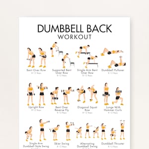 May include: A white poster with the text "DUMBBELL BACK WORKOUT" and illustrations of various dumbbell exercises. The exercises include Bent Over Row, Single-Arm Bent Over Row, and Dumbbell Thruster. Each exercise is labeled with the name and recommended repetitions.