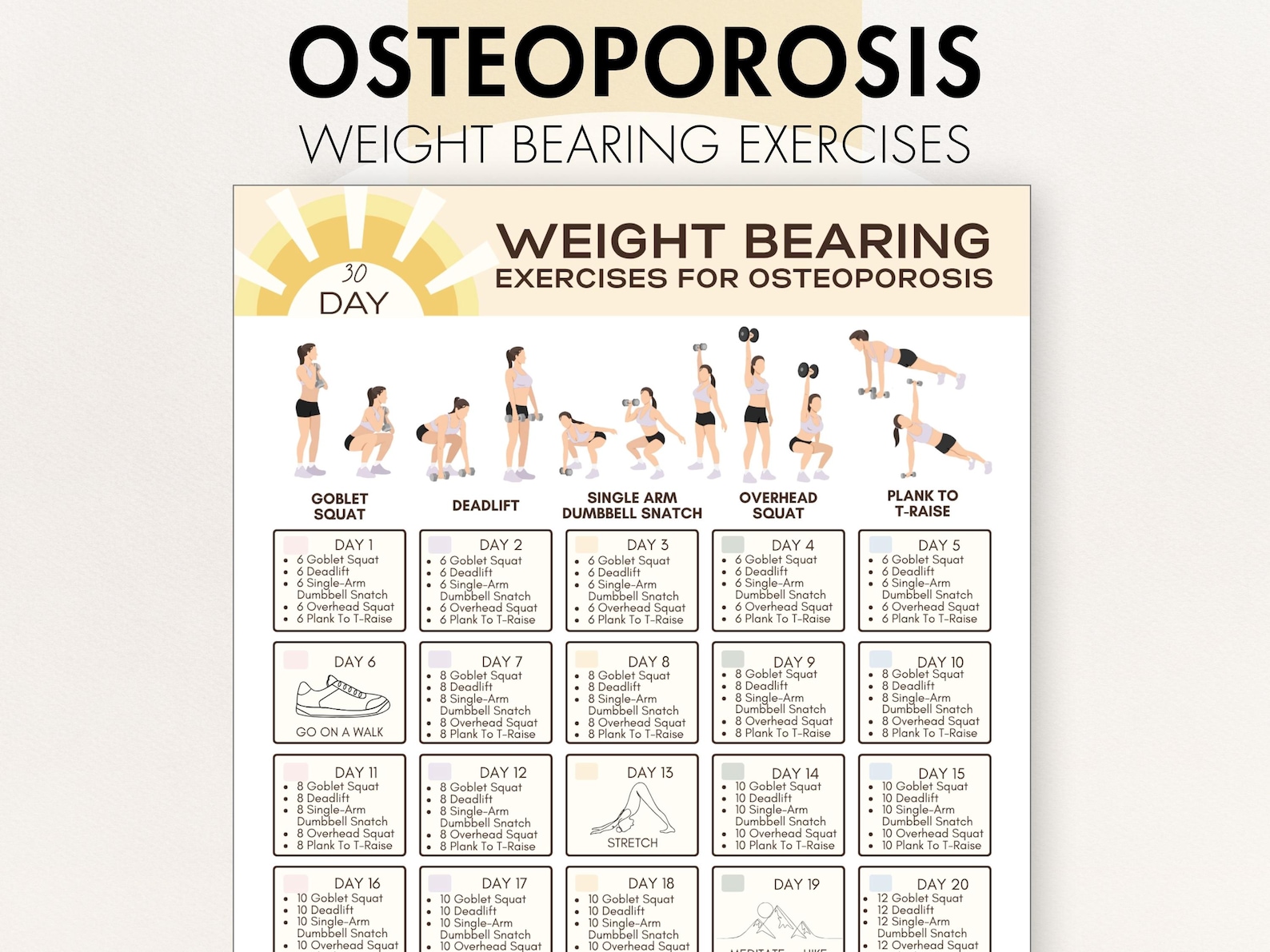 Weight Bearing Exercises for Osteoporosis, Printable PDF, at Home ...