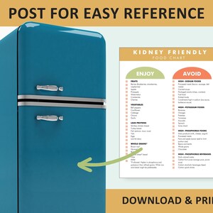 Kidney Renal Diet Food List, Kidney Friendly Diet List, Foods for Kidney Health, Low Potassium, Renal Diet Restrictions, Kidney Disease image 2