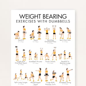 May include: A white poster with the text "WEIGHT BEARING EXERCISES WITH DUMBBELLS" and illustrations of various dumbbell exercises, including deadlifts, squats, and lunges. Each exercise is labeled with its name and the recommended number of repetitions.