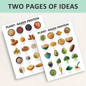 May include: Two pages of ideas with the text "TWO PAGES OF IDEAS" at the top. The pages display illustrations of plant-based protein sources, including seeds, nuts, beans, and grains. Each item is labeled with its name and protein content per 1000 units.