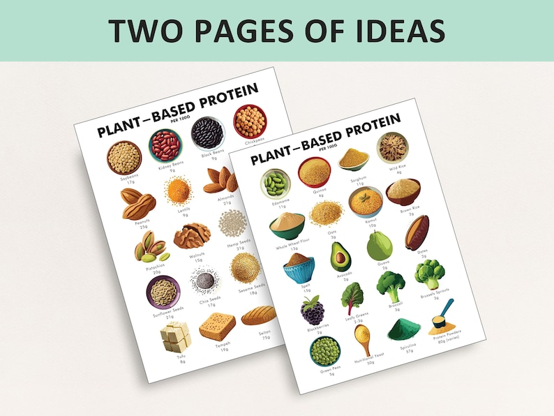 May include: Two pages of ideas with the text "TWO PAGES OF IDEAS" at the top. The pages display illustrations of plant-based protein sources, including seeds, nuts, beans, and grains. Each item is labeled with its name and protein content per 1000 units.