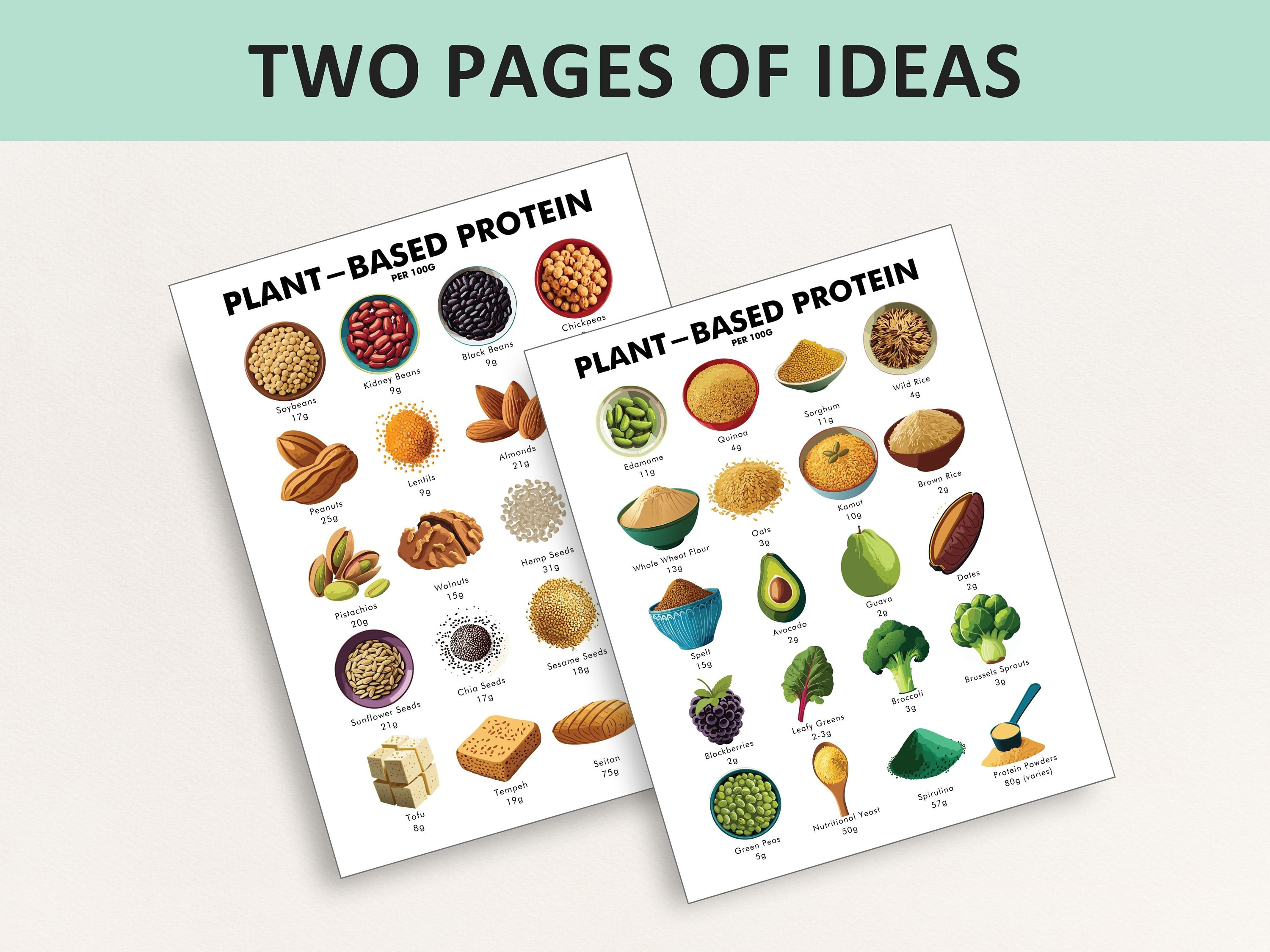 Plant Based Foods High in Protein List, Plant Based Protein Foods List ...