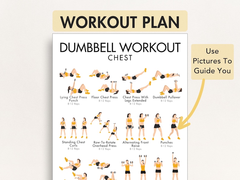 May include: A workout plan poster with the text "WORKOUT PLAN" and "DUMBBELL WORKOUT CHEST". The poster includes illustrations of various dumbbell exercises, such as chest presses and curls, with instructions.