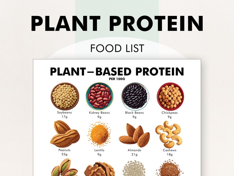 May include: A food list graphic titled "Plant Protein" and "Food List." The graphic displays various plant-based protein sources, including soybeans, kidney beans, black beans, chickpeas, peanuts, lentils, almonds, and cashews, with protein content per 100g.