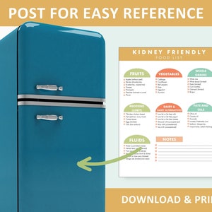 Kidney Renal Diet Food List, Kidney Friendly Diet List, Foods for Kidney Health, Low Potassium, Renal Diet Restrictions, Kidney Disease image 2