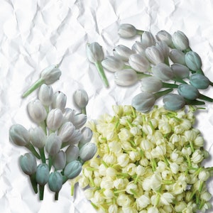 100 fiori di gelsomino parzialmente sbocciati in carta velina - Perfetti per realizzare ghirlande, gioielli e lavori artigianali decorativi (3 misure: S, M, L)