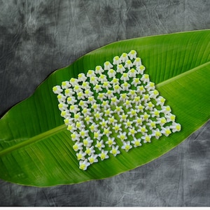 100 PCS. Crown Flower Clay Charms , DIY Jewelry Components, Garland Crafting Supplies, Flower Clay Beads.