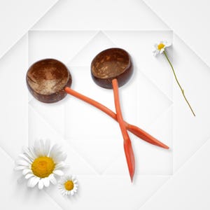 Könnte beinhalten: Zwei Kokosnussschalen-Schöpflöffel mit leuchtend orangefarbenen Griffen kreuzen sich vor einem weißen Hintergrund. Die Schöpflöffel sind braun und haben ein natürliches, organisches Aussehen. Weiße Gänseblümchen mit gelben Zentren sind um die Schöpflöffel verstreut.