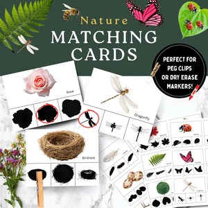 May include: Nature matching cards featuring educational activity sheets with illustrations of a rose, dragonfly, birdnest, ladybugs, and feathers. Each card includes a color image and black silhouettes for matching, with text labels in English.