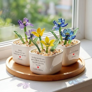 Può includere: Tre vasi in ceramica bianca con fiori di vetro viola, gialli e blu. Ogni vaso ha un messaggio per la mamma ed è riempito di sassolini. I vasi sono su un vassoio di legno.
