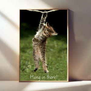 Kätzchen, Hang In There, Motivationsposter, Leinwanddruck, Ermutigungswandkunst