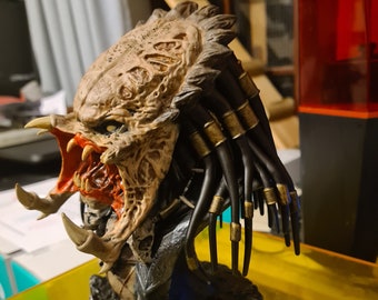 Predator Bust