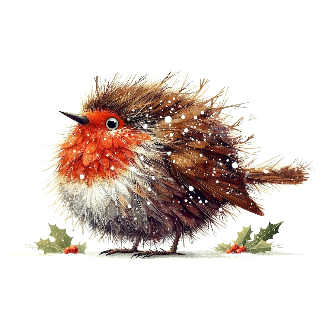 Festive Robin Clipart, 15 High Quality Jpgs, Cute Christmas Bird ...