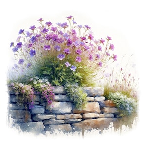 Bloemen stenen muur clipart 10 hoge kwaliteit JPG's, aquarel tuinmuren met roze bloemen, kaarten maken, dagboek, COMMERCIEEL GEBRUIK | AF0213-1