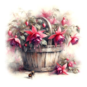 Fuchsia Basket Clipart, 13 High Quality JPGs, Shabby Chic Pink Flower Images, Card Making, Journals, Paper Craft COMMERCIAL USE | AF0625-2