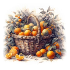 Orange Korb Clipart 10 hochwertige JPGs, Aquarell Zitrusfrüchte Bilder, Lebensmittel Clipart, Kartenherstellung, Journaling KOMMERZIELLE NUTZUNG | AF0325-2