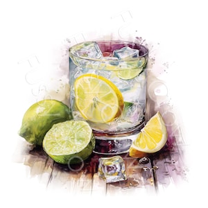 Gin Tonic Clipart, 10 hochwertige Aquarell alkoholische Getränk Ephemera JPGs Karte machen Journal Papier Handwerk Digital Download | AF0730-2