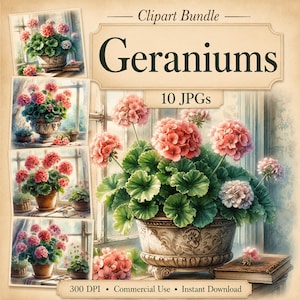 May include: A digital clipart bundle titled Geraniums featuring 10 JPGs. The image displays various illustrations of pink geranium flowers in decorative pots and planters, set against a window background with books, labeled 300 DPI.