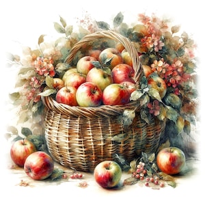 Cesta de manzanas, 10 archivos JPG de alta calidad, acuarela de frutas otoñales, tarjetas, diarios basura, manualidades de papel. USO COMERCIAL / AF0604