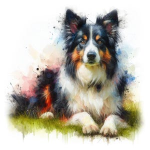 ボーダーコリー犬のクリップアート、水彩画、インスタント