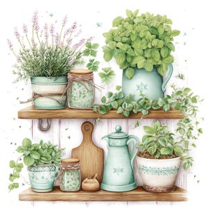 Puede incluir: Ilustración en acuarela de una estantería de cocina con varias hierbas y plantas. Incluye lavanda, menta y otras plantas verdes en macetas y tarros decorativos. También hay una tabla de cortar de madera y una jarra turquesa.
