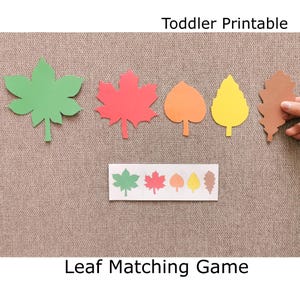 Attività di abbinamento di motivi di foglie autunnali, gioco di abbinamento di colori, per bambini piccoli e in età prescolare, metodo Montessori, PDF stampabile