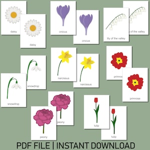 Spring Flowers Memory Game | Printable Preschool Match Game | Montessori-Inspired | Educational PDF for Kids