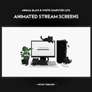 Puede incluir: Pantalla de transmisión animada con una computadora negra que muestra una barra de progreso que dice "Comenzando pronto". Hay cuatro gatos negros, una planta en maceta y un altavoz en el escritorio.