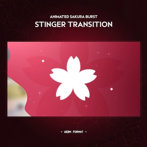 Dark Pink Sakura Stinger Transition | Japanese Cherry Blossom Flower | Clean Cute Animated Twitch Stream Transition
