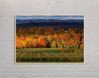 Real Photo, Traverse City Print, Traverse City Wall Art, Traverse City Poster, Traverse City Photo, Michigan Wall Decor, USA Poster